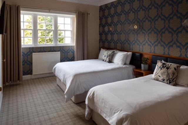 The Glen Guesthouse セルカーク エクステリア 写真